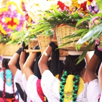 Color and Culture: Guelaguetza in Oaxaca. 